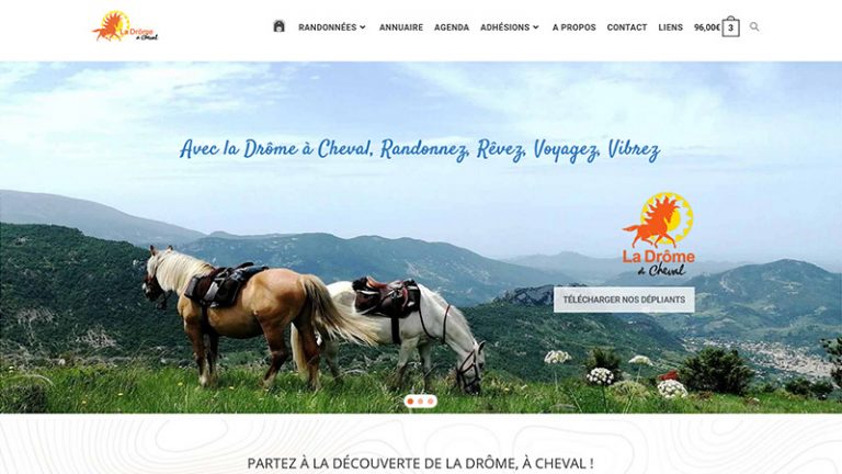 Page d'accueil